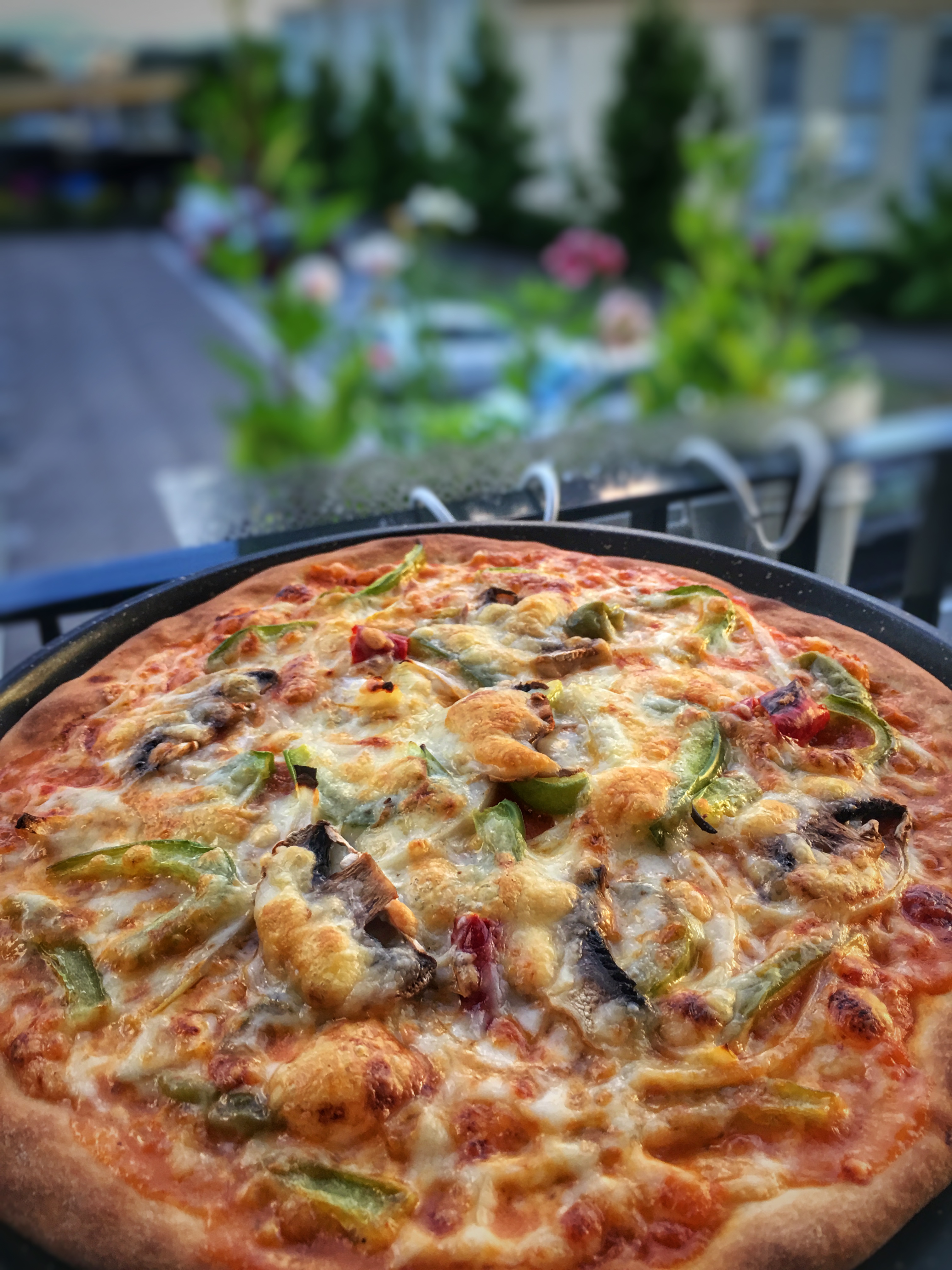 Homemade Veg Pizza